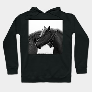 Chevaux de trait bretons Hoodie